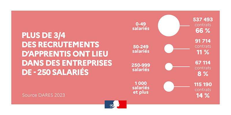 Plus de 3/4 des recrutements d'apprentis ont lieu dans des entreprises de moins de 250 salariés • Entreprises de 0-49 salariés : 537493 contrats soit 66% • Entreprises de 50-249 salariés : 91714 contrats soit 11% • Entreprises de 250-999 salariés : 67114 contrats soit 8% • Entreprises de 1000 salariés et plus : 115190 contrats soit 14% Source DARES 2023